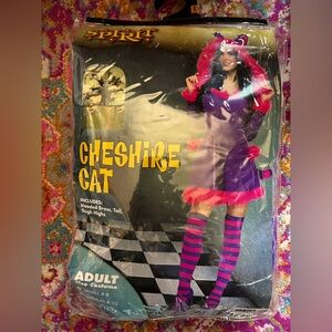 Cheshire Cat costume